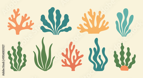 Colorful Coral and Seaweed Set