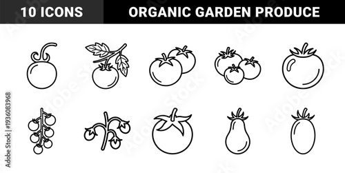 Tomato variety and vegetable cultivation line art for organic farming and recipe design. Minimalist monoline garden produce and heirloom tomato symbols.