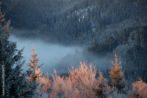 Winter mountain forest with fog in valley at sunrise
