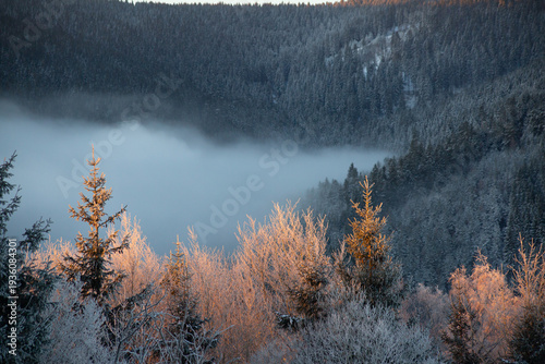 Winter mountain forest with fog in valley at sunrise