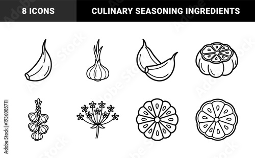 Garlic and allium vegetable line art for culinary branding and recipe illustrations. Minimalist monoline sketches featuring whole bulbs, cloves, and cross sections.