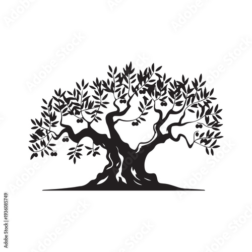  Black Silhouette of an Ancient Olive Tree With Lush Leaves and Grass. 