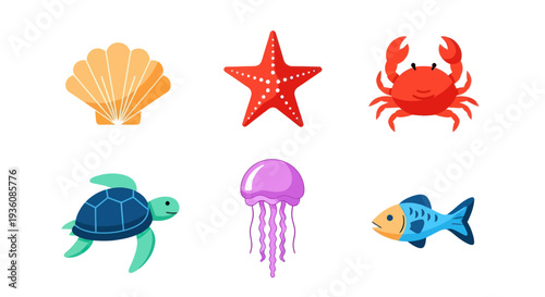 Ocean life shell starfish crab turtle jellyfish fish