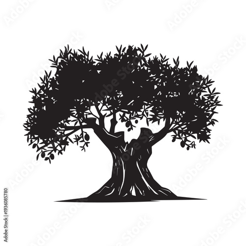  Black Silhouette of an Ancient Olive Tree With Lush Leaves and Grass. 