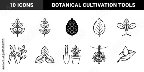 Botanical cultivation and herbal medicine preparation monoline elements. Linear gardening graphics featuring mint leaves, seedlings, trowel, and drying herbs.