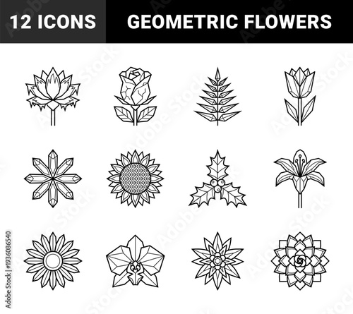 Geometric botanical line art featuring crystalline floral shapes and angular leaf patterns. Minimalist multifaceted plant designs for branding and jewelry aesthetics.