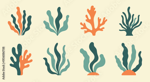 Set of Colorful Seaweed Icons