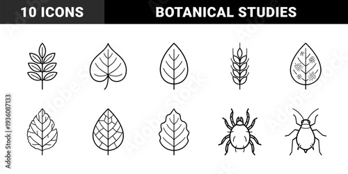 Botanical biology and agricultural pest control study elements. Minimalist monolinear graphic assets featuring leaf morphology, crop structures, and garden insects.