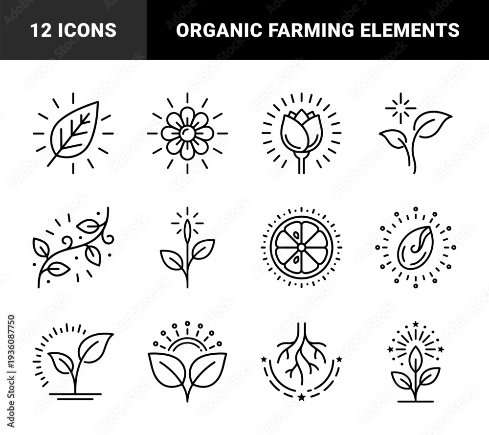 Fototapeta premium Sustainable agriculture and botanical growth elements for environmental branding. Minimalist monoline pictograms featuring organic farming, seed germination, and floral vitality concepts.