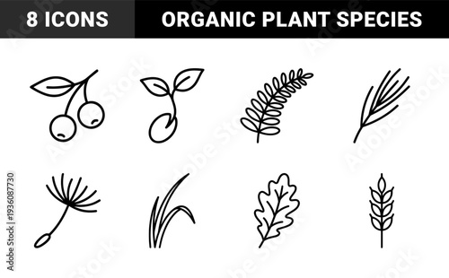 Botanical flora and organic vegetation elements for sustainable branding. Minimalist monoline pictograms featuring diverse leaf shapes, seeds, and forest plant species.