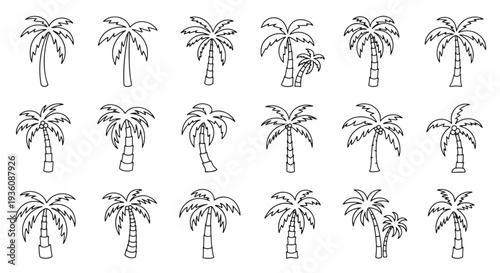 Palm Trees Outline Set