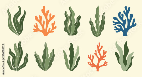 Colorful Seaweed and Coral Set