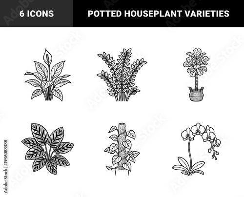 Houseplant botanical line art for interior design and gardening blogs. Minimalist monoline illustrations of ZZ plant, fiddle leaf fig, peace lily, and orchid.
