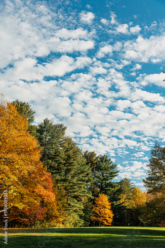 Autumn scene in the park with fluffy clouds
