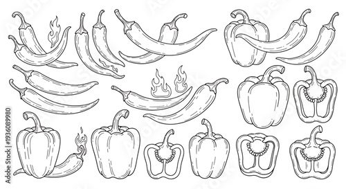 Line Art of Bananas and Peppers