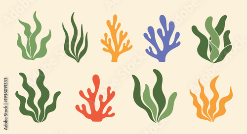 Seaweed and Coral Icons