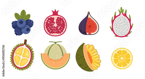 Variety of fresh colorful fruit illustrations