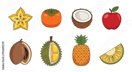 Variety of fresh fruits collection