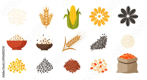 Variety of grains and seeds isolated