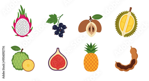 Variety of tropical fruits colorful illustration
