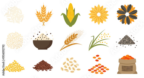 Various cereal crops and seeds illustration