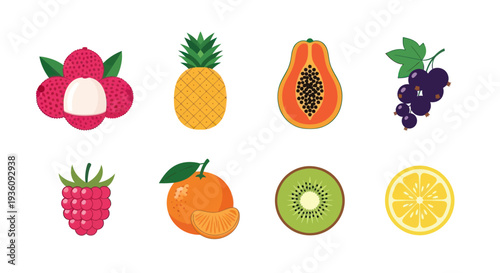Various colorful tropical fruits illustration