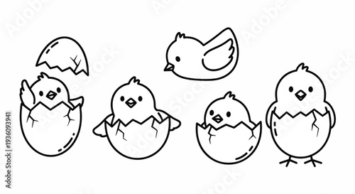 Hatching Chicks Line Art