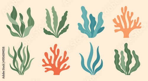 Colorful Seaweed and Coral Set
