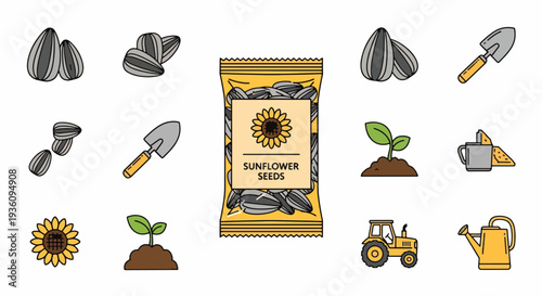 Sunflower Seeds and Gardening Tools