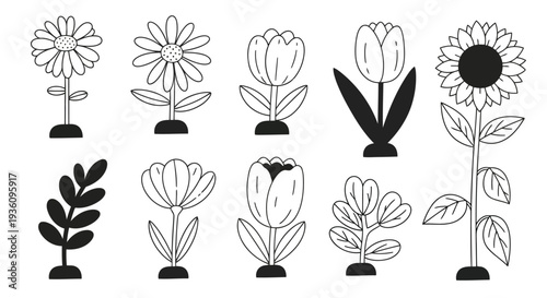 Adobe Illustrator Artwork