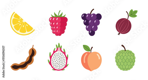 Assorted colorful fruits illustration on white