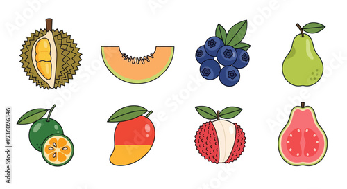 Assorted colorful tropical fruits illustration