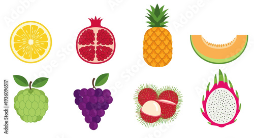 Assorted tropical fruit collection illustration