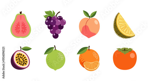 Assorted tropical fruit collection illustration