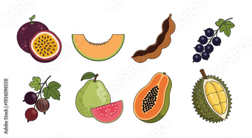 Assorted tropical fruit collection illustration