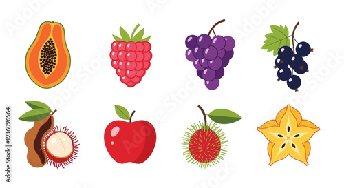 Assorted tropical fruit collection illustration