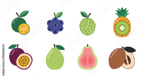Assorted tropical fruit illustrations