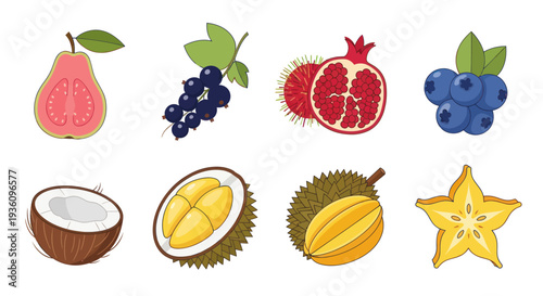Assorted tropical fruit collection vector illustration