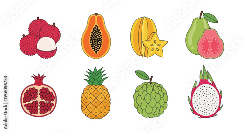 Assortment of colorful tropical fruit illustrations