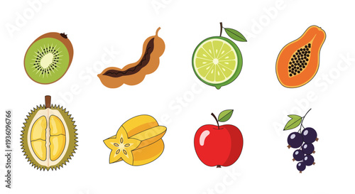 Assortment of colorful tropical fruit illustrations