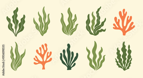 Coral and Seaweed Elements