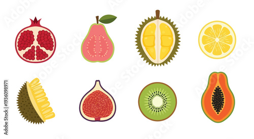 Assortment of fresh fruits vector illustration