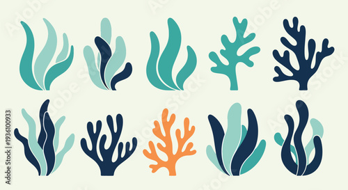 Coral and Seaweed Set