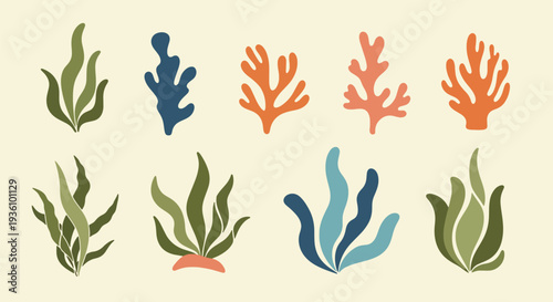 Colorful Seaweed Collection