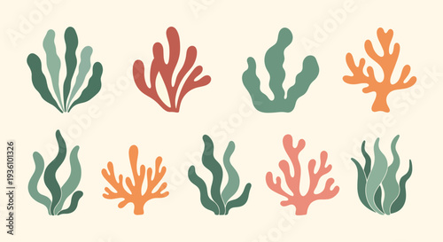 Colorful Coral Collection