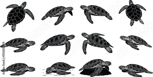 Successful professional business entrepreneur working on a modern laptop in a bright sunlit office interior with creative workspace and copy space for advertising text