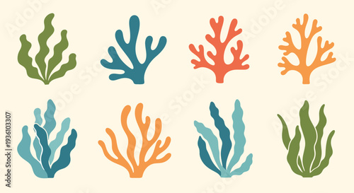 Colorful Coral Collection