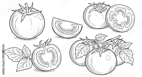 Hand Drawn Tomato Set
