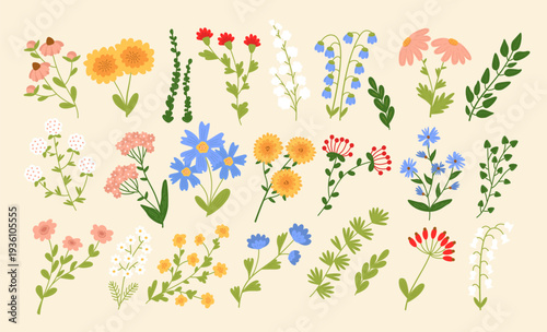 Flower Bundle Botanical Set Hand Drawn