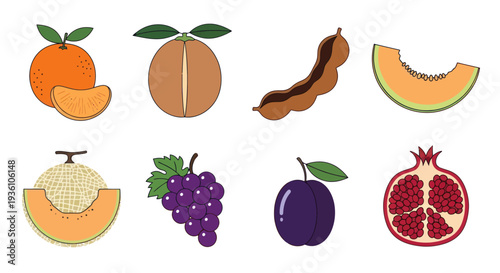 Colorful assortment of fresh fruit illustrations